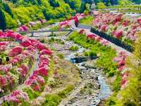 【長野県・花桃の里】まさに桃源郷