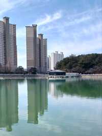 도심 한가운데 고요한 쉼이 흐르는 곳🌿