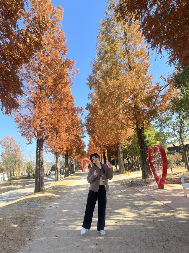 대한민국의 가을 순천의 가을🍂🍁