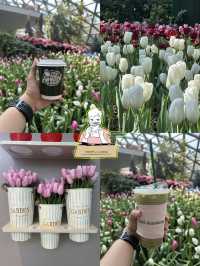 🌸 สวนดอกไม้เมืองหนาว ระยอง 🌸 เข้าชมฟรี! 