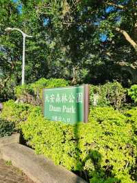 A Tranquil Escape: Daan Park, Taipei 
