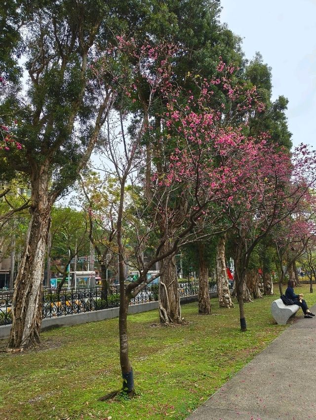 Culture and Calm at Chungshan Cultural Park