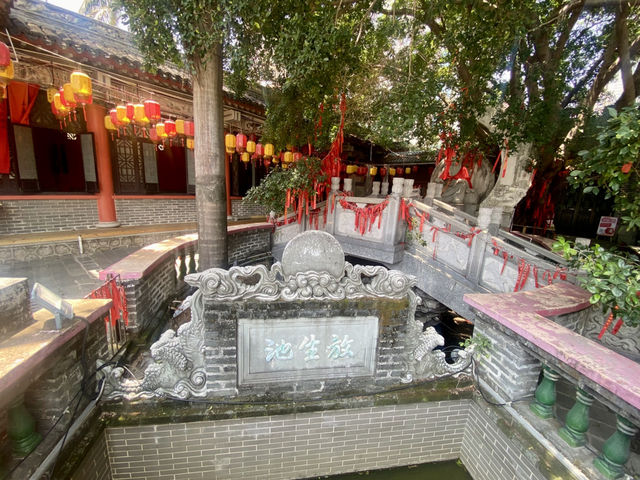 繁市中找尋那份久違的古典情懷✨ 深圳萬景樓🏯 明代歷史建築印記⏳