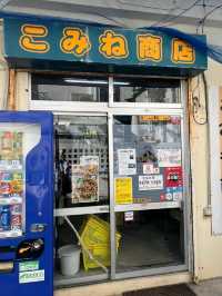 【沖縄】那覇から日帰りフェリーで行ける離島🏝️