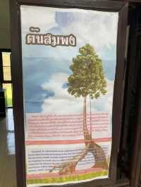 อุทยานแห่งชาติดอยภูนาง