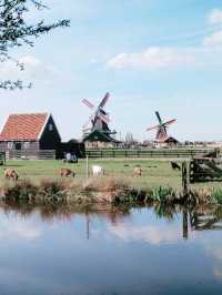 Solo Adventure to Zaanse Schans: A Dutch Dream