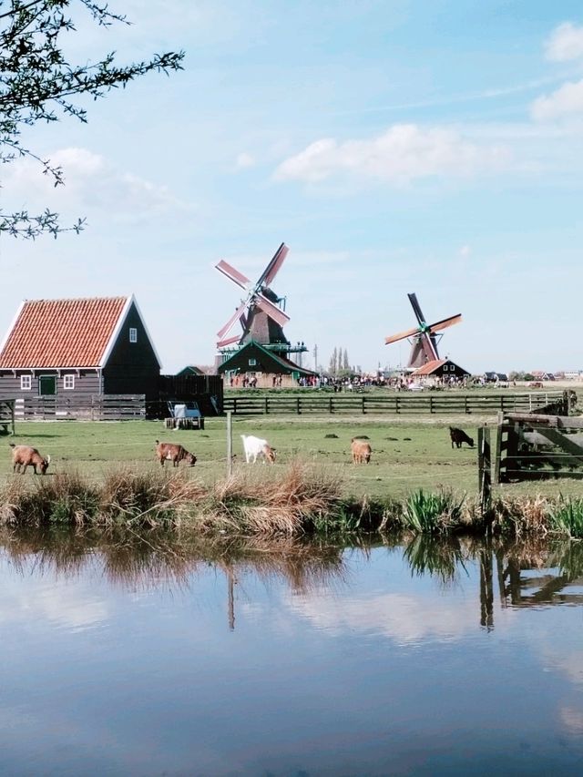Solo Adventure to Zaanse Schans: A Dutch Dream
