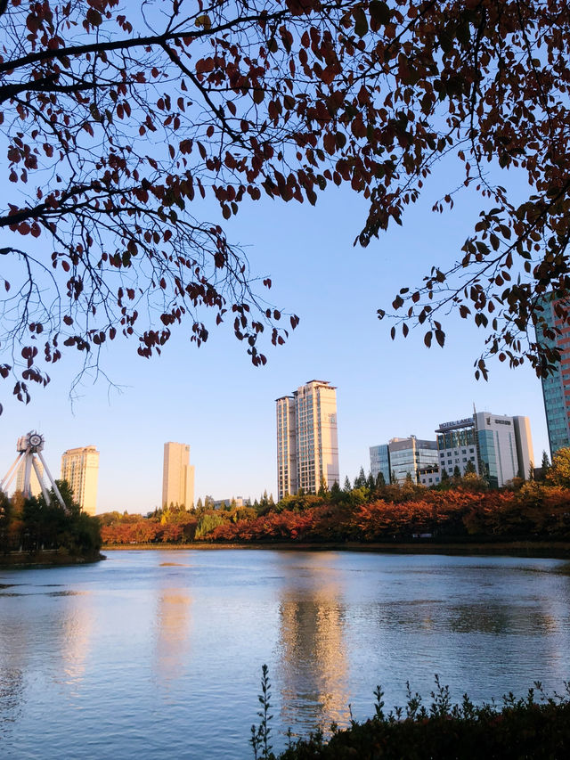 Seoul check lists ✅