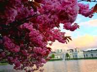 Bergen's Coastal Charm – Norway’s Colorful Gateway to the Fjords