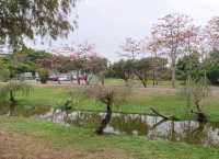 #巴克禮紀念公園-臺南市東區