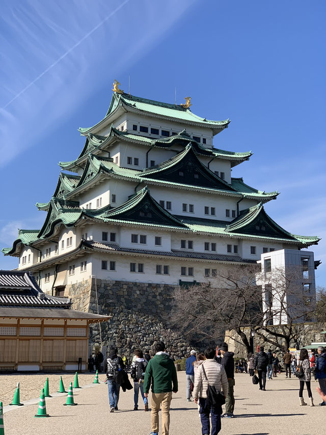 Weekend in Nagoya – Castles, Characters & a Cozy Stay