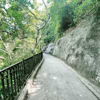 太平山～本地人和遊客東海的行山路線