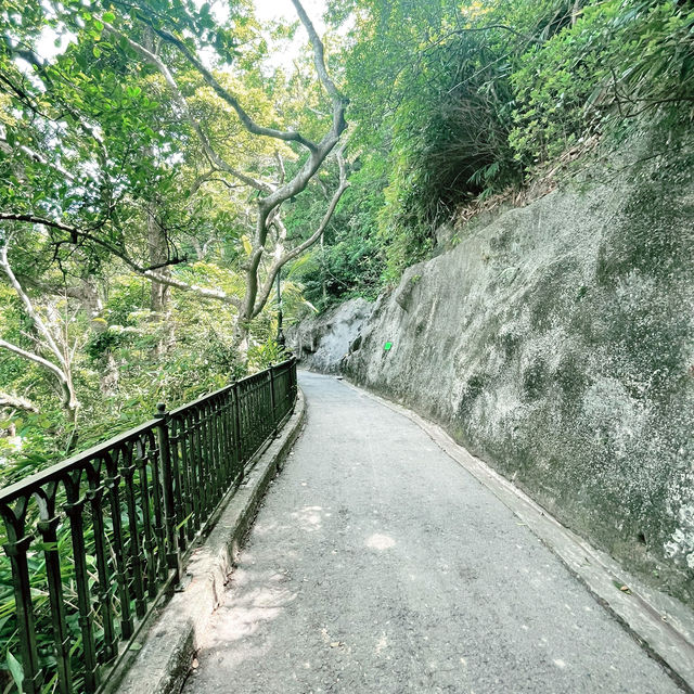 太平山～本地人和遊客東海的行山路線