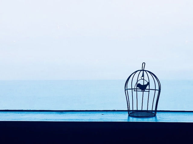 📍제주도 구좌읍 감성카페 💕