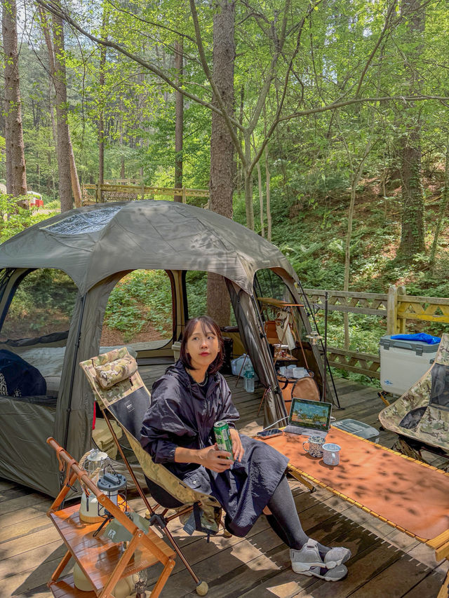 🇰🇷포레스트 느낌 충만한 서울근교 포천 캠핑장, 엉클킴스캠핑장🏕️