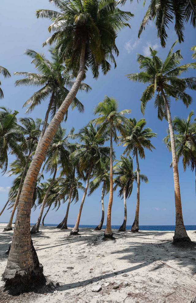 Beautiful Maldives