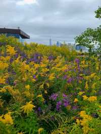The Torch of Freedom: Visiting the Statue of Liberty
