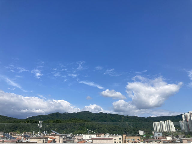 청주 대형카페 추천 💚