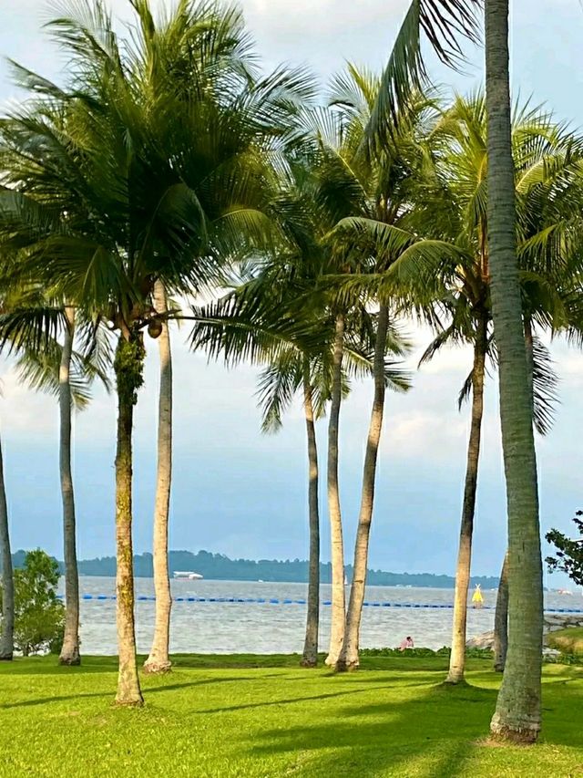 Pasir Ris Park – A Relaxing Coastal Escape in Singapore