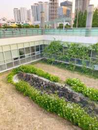 부산 도심의 힐링스팟은 여기에요!🍀🌿