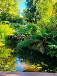 Arderne Gardens: Romance and Roots in Cape Town’s Leafy South