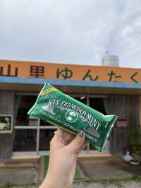 久米島の「山里ゆんたく市場」でローカル体験！