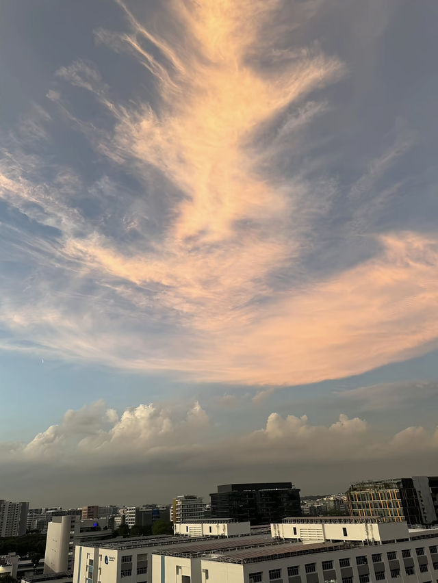 เที่ยวสิงคโปร์กันเถอะ🇸🇬
