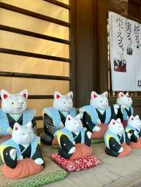 Slow Strolls in Osaka – A Peaceful Day Away from the Crowd