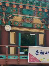 은해사, 그늘 아래 걷는 즐거움