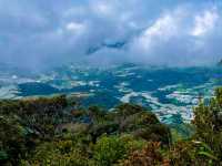 Why I couldn’t reach Mossy Forest until I came here — Gunung Siku, Pahang 🌿⛰️