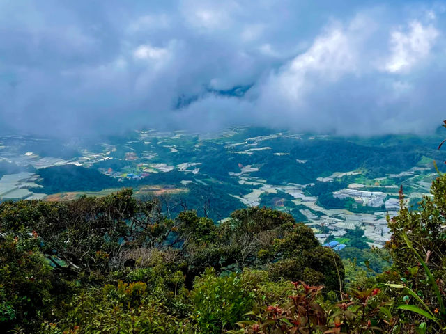 Why I couldn’t reach Mossy Forest until I came here — Gunung Siku, Pahang 🌿⛰️