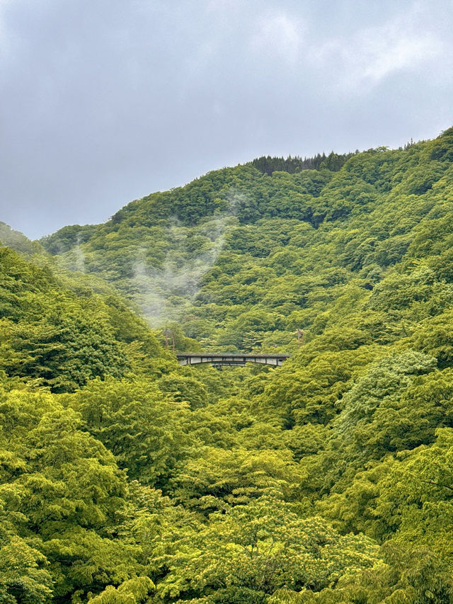 【群馬】ドラマ撮影の舞台にもなった絶景スポット