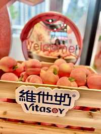 維他奶活動特別活動😄打卡加換禮物