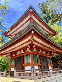 京都｜天狗守護的鞍馬山 三位一體尊天信仰造就鞍馬寺的獨特