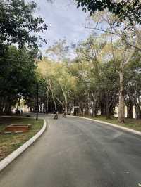 Weekend Plans? Let’s Cycle, Jog, Breakfast & More at Taman Botani Putrajaya!
