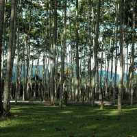 nawana camping ground saraburi 