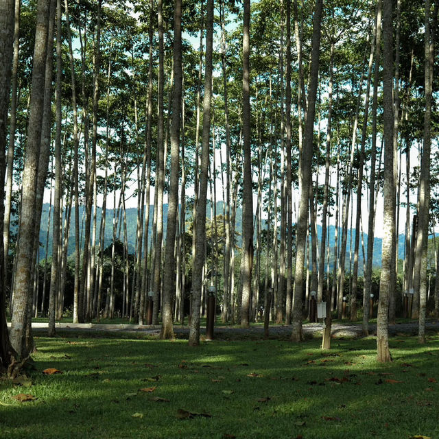 nawana camping ground saraburi 