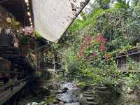  Escape to Mae Kampong: Nature & Chill Vibes Only! 
