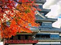 Matsumoto-jinja Shrine – A Hidden Sanctuary in Fukui