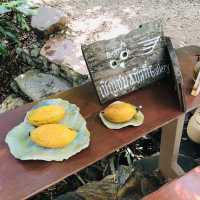 คาเฟ่ในดวงใจ เหมือนหลุดมาจากอวตาร