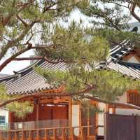 🇰🇷 Bukchon Hanok Village Tips 🏘️✨