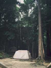 Phuri Camp 🌲🏕️ @hatyai #Thailand