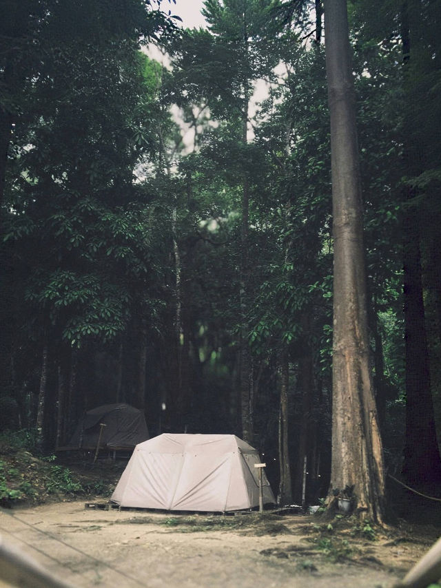 Phuri Camp 🌲🏕️ @hatyai #Thailand