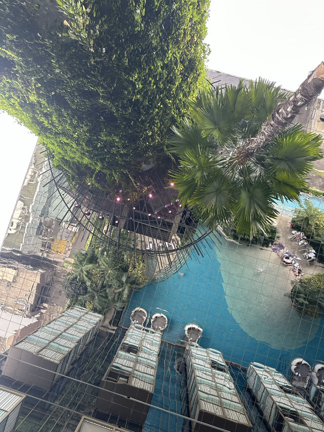 Experience Luxury at Pan Pacific Orchard Hotel in Singapore 🇸🇬 