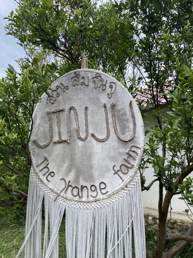 สวนส้ม Jinju เชียงใหม่  🍊
