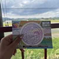 Hokkaido's Summer Bliss: Melon Dreams in Furano & Breezy Fields in Biei! 🍈🌬️