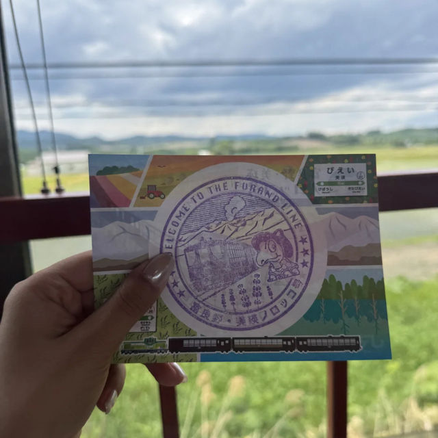 Hokkaido's Summer Bliss: Melon Dreams in Furano & Breezy Fields in Biei! 🍈🌬️