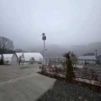 ⛺ 산들캠핑파크&글램핑, 자연 속에서 진짜 쉬는 법을 배우는 곳