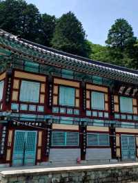 숲속 사찰 나들이, 옥천사