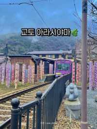 교토 아라시야마, 자연과 전통의 완벽한 조화 🍃